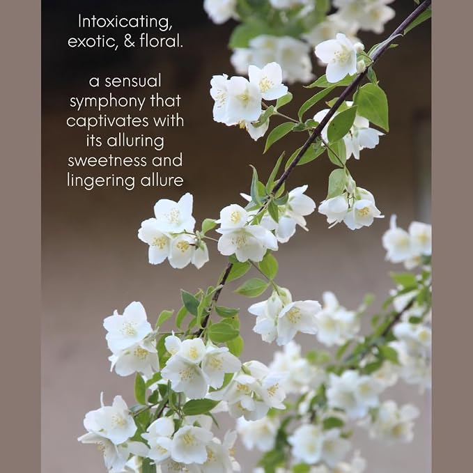 Jasmine from Our Floral Collection - Perfect for Adding Aroma to Freshies, Candles, Soaps, and Diffusers - 16 oz