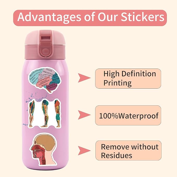 60PCS Human Anatomy Stickers, Waterproof Vinyl Decals, Medical Science Stickers for Water Bottles, Laptops, Nursing Students (Human Anatomy)