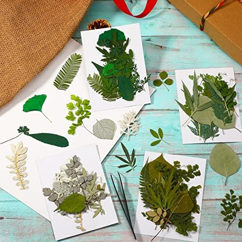 Timtin 84 Pcs Dried Pressed Leaves Flowers for Resin, Classic