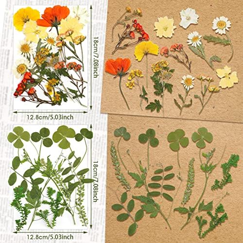 Nuanchu Real Dried Pressed Flowers Wildflower Stem for Resin Mold Craft DIY