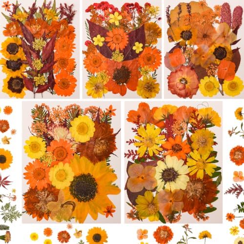 5 Packs 140 Pressed Dried Flowers & Leaves, Fall | Assorted Natural Dry Flowers, DIY Crafts, Resin Jewelry, Card Making, Soap, Candles, Nail Art, Scrapbooking