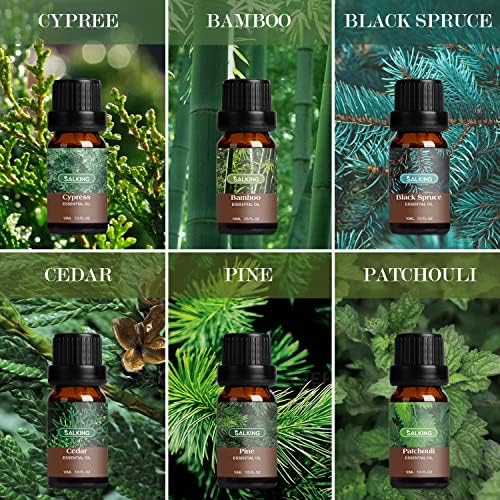 SALKING Woodsy Essential Oils Set for Men, Masculine Essential Oils Set