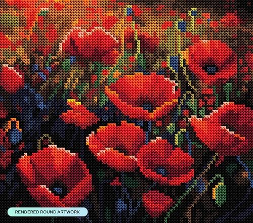 DIAMOND ART CLUB Poppy Field Diamond Art Kits for Adults