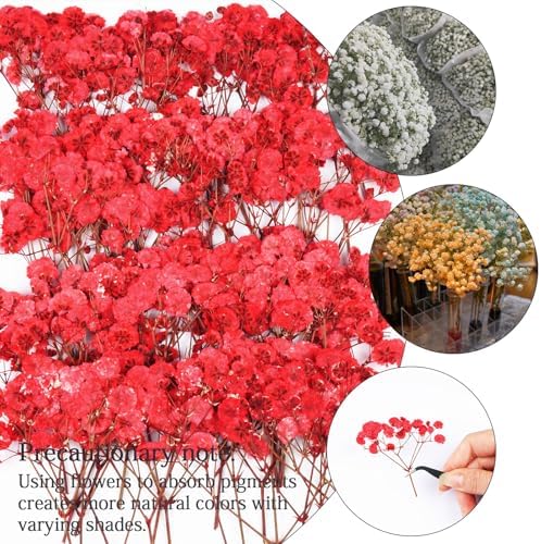 50Pcs Red Babys Breath Dried Pressed Flowers for Crafts,Xinxinran Dry Flowers Kit for Wedding Invitation Accessories,Bookmark,Jewelry Molds,Candle Making Supplies,Soap,Frame,Cakes
