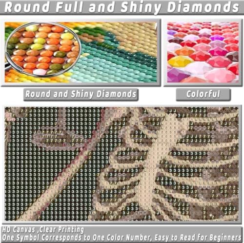KICHANG Skull Diamond Art Kits for Adult Diamond Painting Kit for Beginner