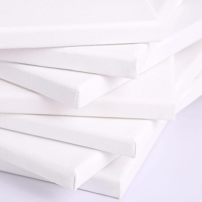Canvases for Painting, 40x30, 30x20,20x15, 8 Set Canvas with Palette & Tape