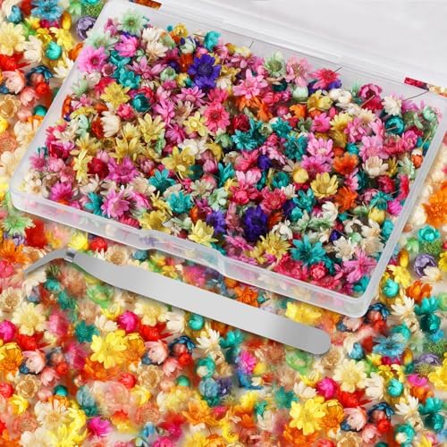 1000 Pcs Mini Dried Flowers for Resin, Small Dried Flowers for Crafts