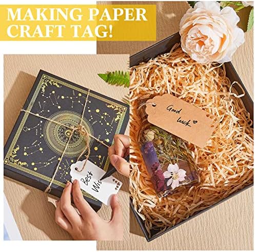 Lewtemi 3 in 1 Craft Tag Punch, 1.5/2/ 2.5" Gift Tag Paper Punches for DIY