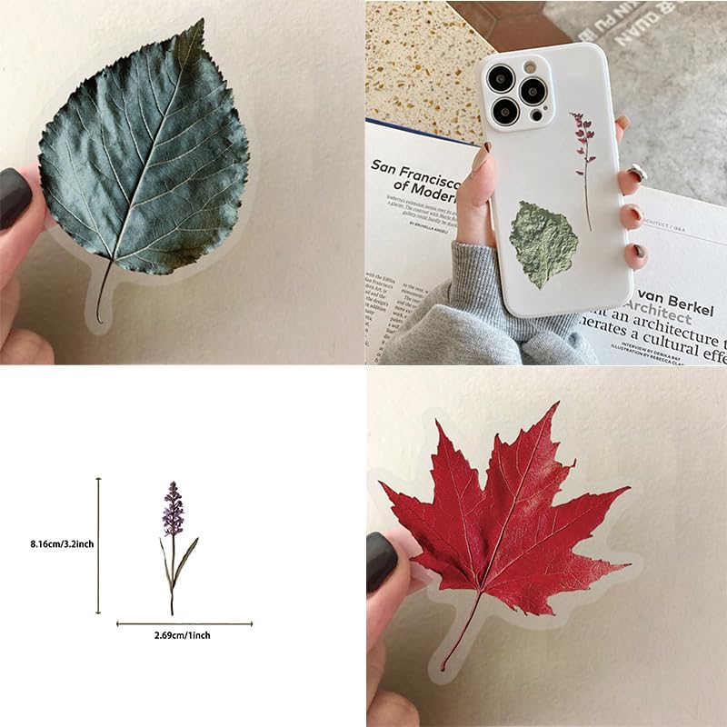 50 Pcs Botanical Stickers Waterproof for Scrapbooking