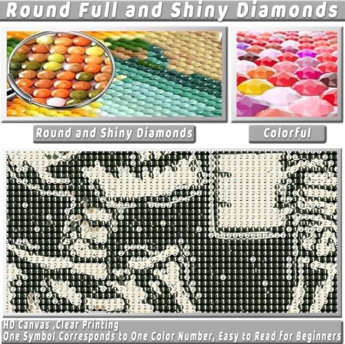 KICHANG Skull Diamond Art Kits for Adult Diamond Painting Kit for Beginner