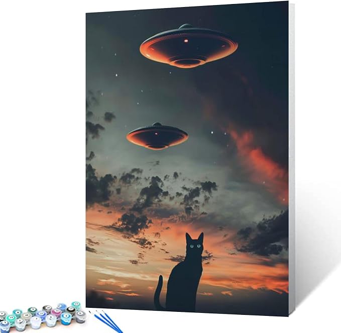 Tucocoo UFO Paint By Bumbers for Adults Beginner Black Cat DIY Paint by Numbers Acrylic Paint Canvas Sunset Moon Bedroom Decor Fantasy Scene Dark Clouds Painting Kits Art 16x20 Inch （Without Frame ）