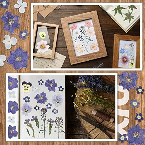 Nuanchu Natural Real Dried Pressed Flowers for Craft Resin DIY