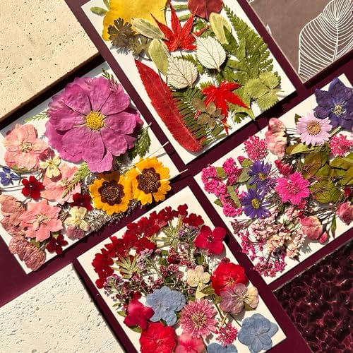 MIKIYA 85Pcs Dried Pressed Flowers for Resin Molds, Real Natural Bulk Dry Floral Leave for DIY Art Crafts, Epoxy Jewelry, Candle, Soap Making, Nails Decors Gifts