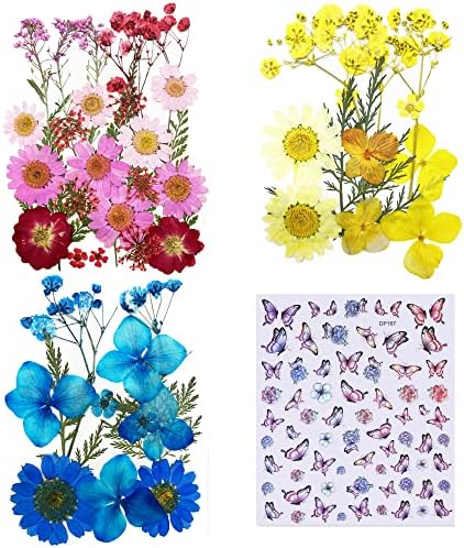 Cayway 4 Style Pressed Flowers Natural Dried Flowers Colorful Resin Flowers Real Pressed Flowers with Butterfly Sticker for Resin Scrapbooking DIY Art Crafts, Epoxy Resin Jewelry Supplies