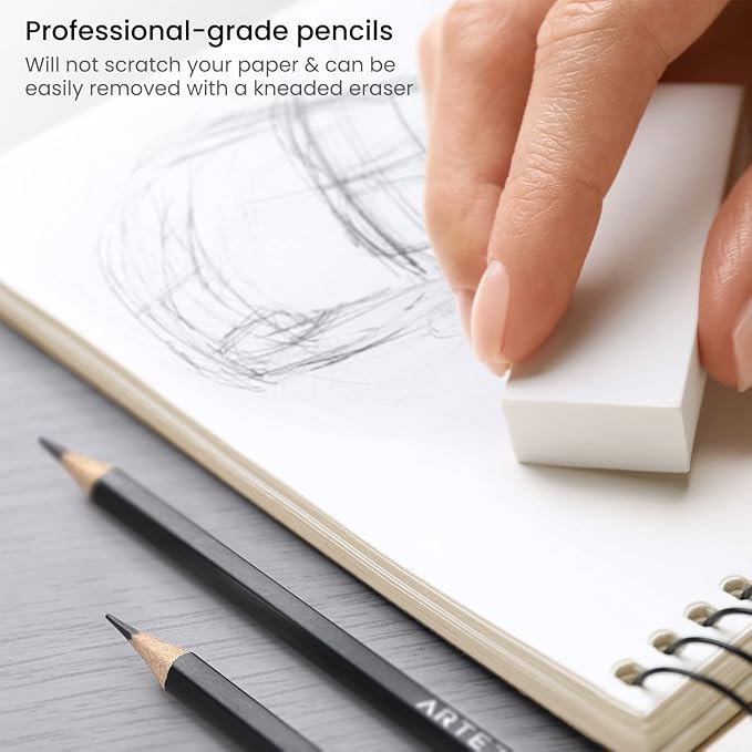 ARTEZA Drawing Sketch Pencils Set of 12, Graphite Pencils 6B to 4H, Pre-Sharpened Art Pencils in Metal Tin for Sketching, Shading, Drawing, Blending, and Detail Work | Pre-Sharpened Wooden Barrels, Metal Tin Included, For Shading, Blending, Outlining, ...