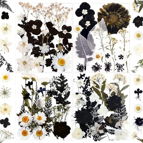 MIKIYA 84Pcs Black Dried Pressed Flowers for Resin Molds, Bulk Real Natural Dry Floral for DIY Art Crafts, Epoxy Jewelry, Candle, Soap Making, Nails Decor, Phone Case