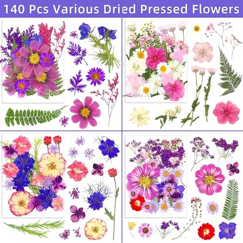 140+Pcs Real Dried Pressed Flowers Leaves Petals for Crafts-Beautiful Pressed Flowers Daisies for Resin Jewellery, Pressed Flowers Nail Pendant Crafts Making Craft DIY Accessories with 1pcs Tweezers