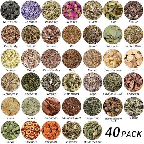 Witchcraft Herbs Kit, Dried Herbs and Flowers for Witch Beginners, 40 Pack