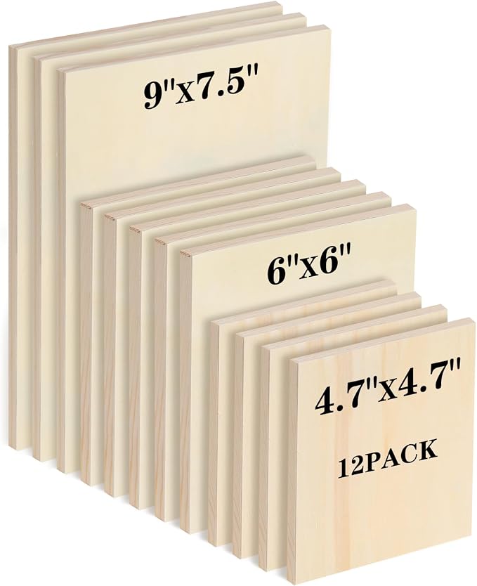 Youyole 12 Pack 3 Sizes Unfinished Wood Canvas Panels Kit