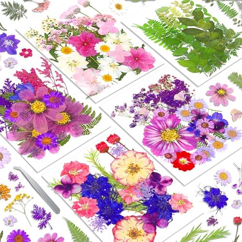 140+Pcs Real Dried Pressed Flowers Leaves Petals for Crafts-Beautiful Pressed Flowers Daisies for Resin Jewellery, Pressed Flowers Nail Pendant Crafts Making Craft DIY Accessories with 1pcs Tweezers