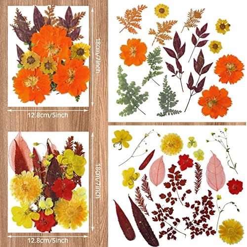 Nuanchu Fall Natural Dried Flowers Pressed for Crafts Resin Molds DIY Suppy