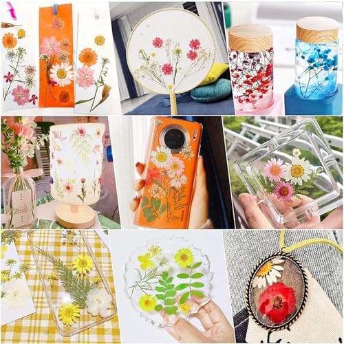 Cayway Natural Dried Pressed Flowers, Natural Dried Pressed Leaves, Natural Dry Flowers Leaves with Tweezers, Scissors for Pressed Leaf Art Craft DIY Embellishment Decorations (Green Pink Blue)