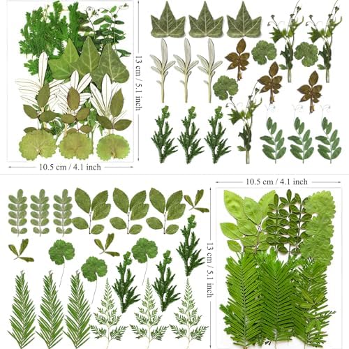 MIKIYA 84Pcs Pressed Dried Leaves for Resin Molds, Assorted Real Natural Bulk Dry Flowers for DIY Art Crafts, Epoxy Jewelry, Candle, Soap Making, Nails Decors Gifts