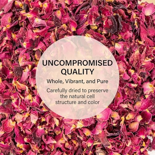 Sukh 12oz Dried Rose Petals - Red Pink Flower Petals for Soap Candle Crafts