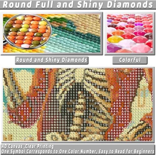KICHANG Skull Diamond Art Kits for Adult Diamond Painting Kit for Beginner