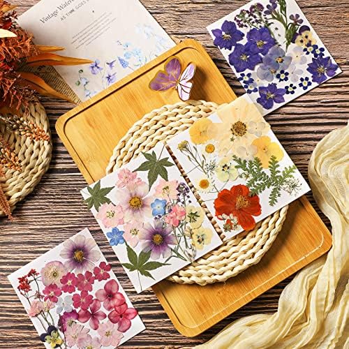 Nuanchu Natural Real Dried Pressed Flowers for Craft Resin DIY