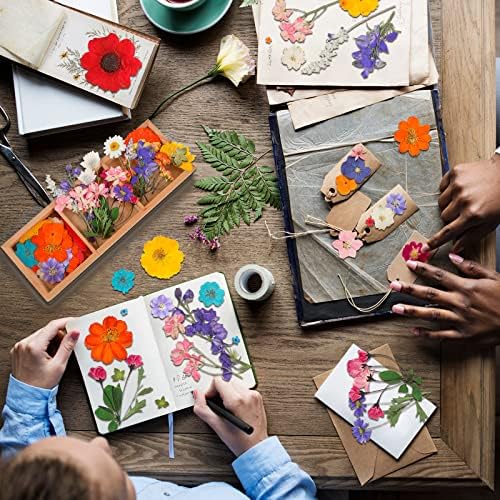 Nuanchu Dried Pressed Flowers for Resin,Elegant Style,Bright Colors