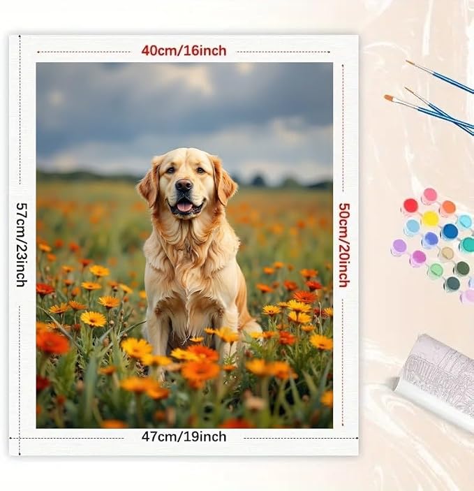 Golden Retriever Paint by Numbers Kit for Adults - DIY Dog Sitting in Orange Flower Field Painting on Canvas 16x20 Inches, Acrylic Paint Set, Suitable for Beginners, Art for Home Decoration or Gifts