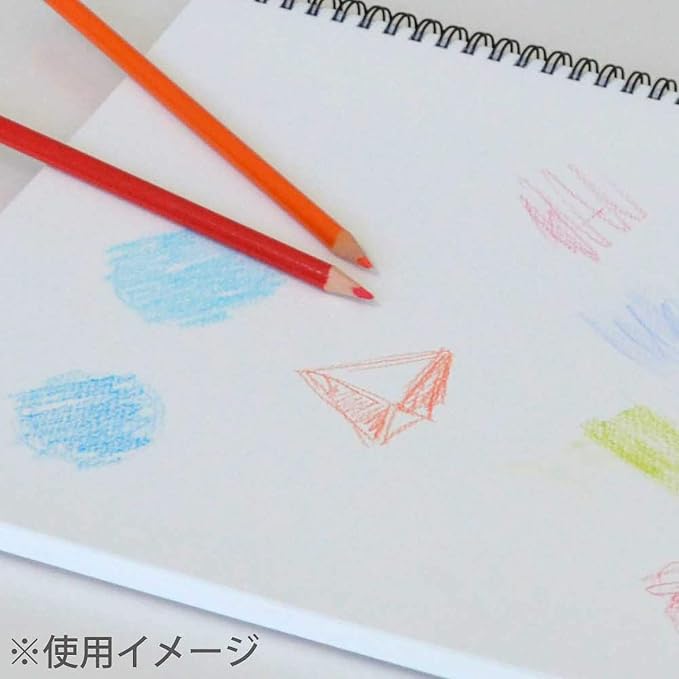 Maruman Sketchbook, A3 Design Series, Drawing Paper, Normal Door, 24 Sheets S115X40, 40 Sheets