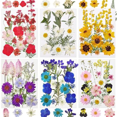 Dried Flowers for Resin, 106pcs Natural Flowers and Leaves Compressed