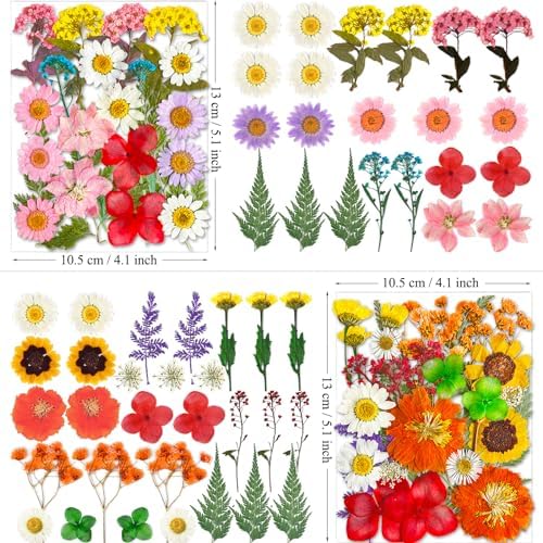 MIKIYA 101Pcs Pressed Dried Flowers for Resin Molds, Real Natural Bulk Dry Floral Leave for DIY Art Crafts, Epoxy Jewelry, Candle, Soap Making, Nails Decors