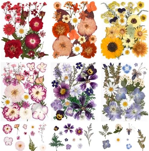 9 Packs of 200 Pressed Dried Flowers and Leaves for DIY Crafts | Assorted Real Natural Dry Flowers with Tweezers For Resin, Soap, Jewelry, Card Making,Nail Artand Scrapbooking
