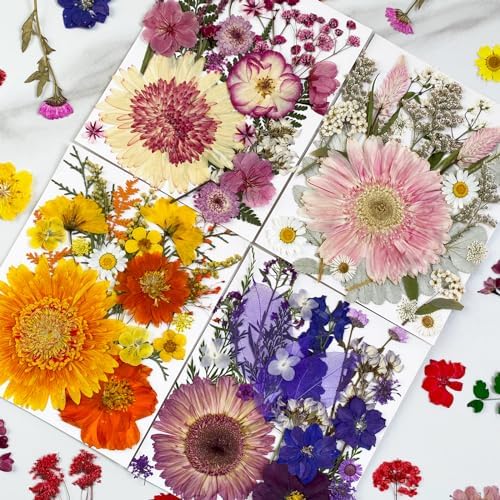 MIKIYA 98Pcs Pressed Dried Flowers for Resin Molds, Real Natural Bulk Big Dry Floral Leave for DIY Art Crafts, Epoxy Jewelry, Candle, Soap Making, Nails Decors