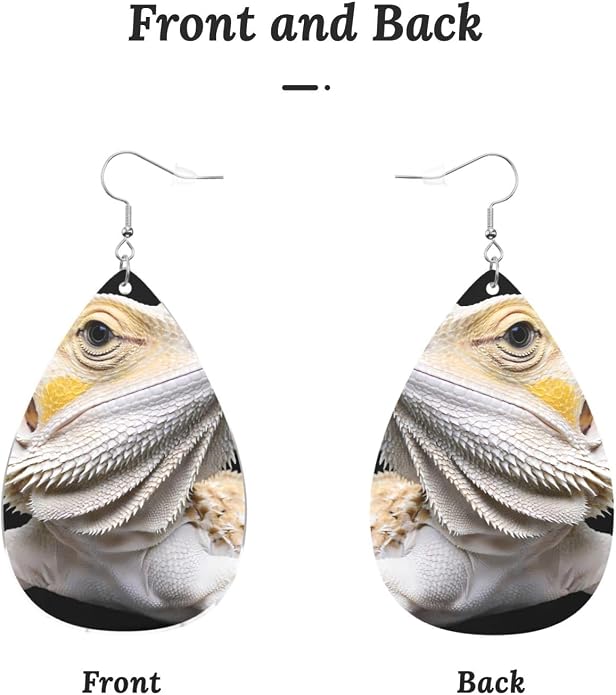Math Formula Equation Black Drop-Shaped Earrings 2.2 x 1.5 Inches