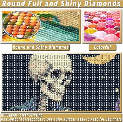 Skull Diamond Art Kits for Adults Funny Diamond Painting Kit for Beginner