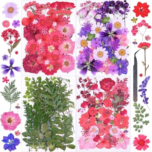 146Pcs Dried Pressed Flowers for Crafts,Xinxinran Dry Flowers Kit for Resin Molds,Epoxy Resin Accessories,Bookmark,Nails, Jewelry Molds,Candle Making Supplies,Soap,Frame