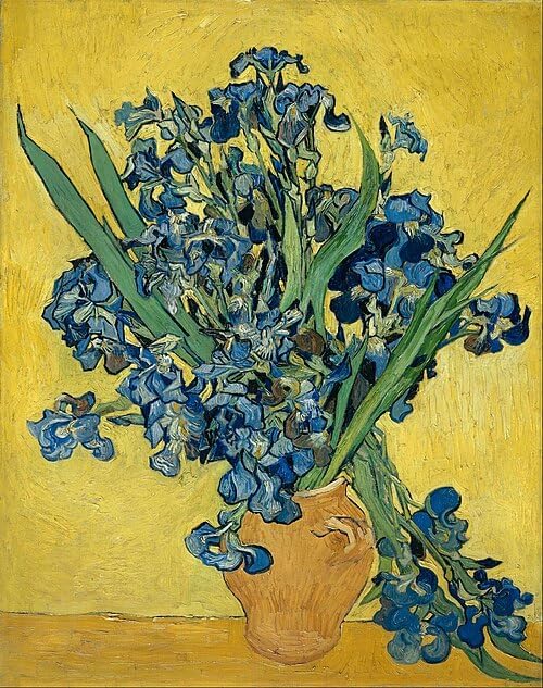 VeGuude Diamond Art Kits for Adults-Van Gogh Diamond Painting Kits for Adults Beginners,Irises 5D DIY Full Drill Diamond Painting Cat Gem Art and Crafts 12x16inch