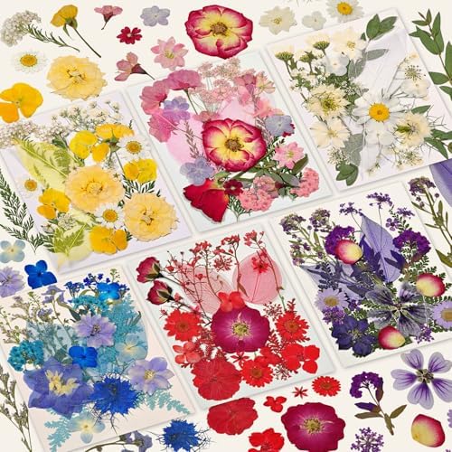 150 Pcs Dried Pressed Flowers for Resin