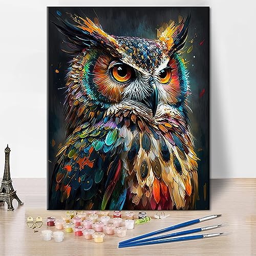 TUMOVO Abstract Owl Paint by Numbers Craft Kit for Adults