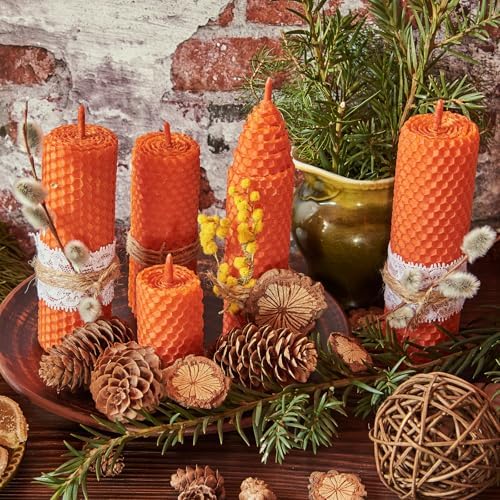 QUYLIXX 20 Pcs Beeswax Candle Making Kit, Natural Beeswax Sheets for Candle Making Rolling Kits (Bright Color, 8 x 8 inch)