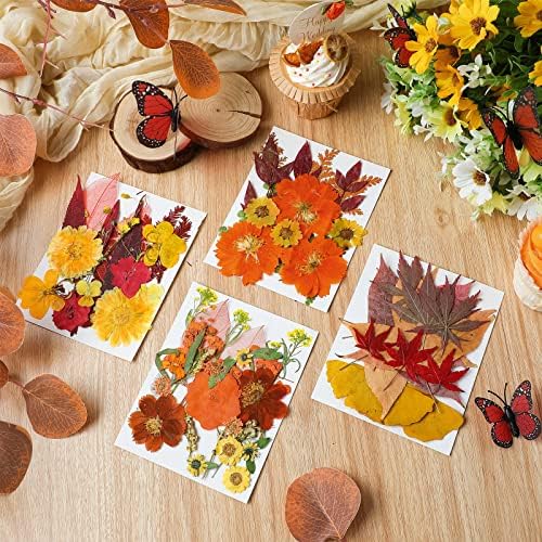 Nuanchu Fall Natural Dried Flowers Pressed for Crafts Resin Molds DIY Suppy