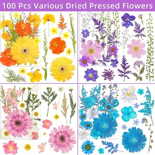 100Pcs Dried Pressed Flowers for Resin Molds- Beautiful Pressed Flowers Daisies for Resin Jewellery, Pressed Flowers Nail Pendant Crafts Making Craft DIY Accessories with 1pcs Tweezers