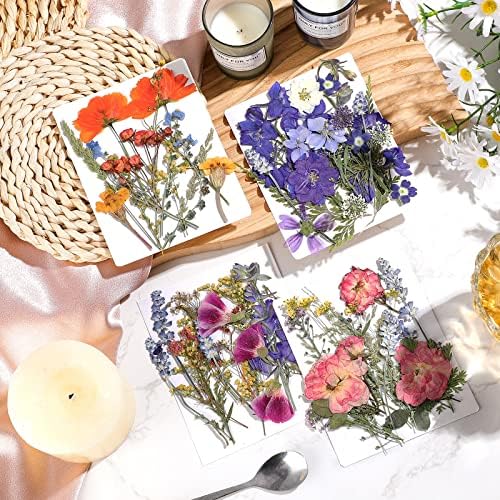Nuanchu Real Dried Pressed Flowers for Craft Resin Molds, Cottage Garden