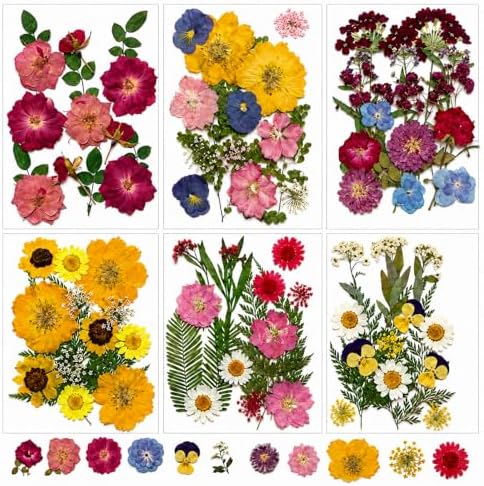 180 pcs Dried Flowers for Resin, Natural Flowers and Leaves Kit with Butterfly Stickers， Vacuum Sealed DIY Pressed Flowers for Jewelry Molds, Candle Soap Making, Scrapbook, Nail Art (Colorful-E)