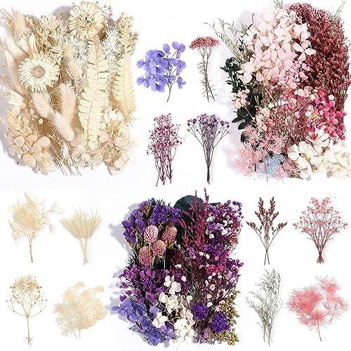Comkrivy Real Dried Flowers 100% Natural Dried Flowers, Mixed Colors Dried Leaf Flowers for DIY Arts and Crafts Candles Resin Jewelry Nail Pendant Cards Scrapbooking Wedding Home Decoration