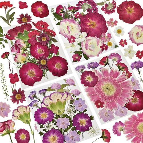 Dried Pressed Flowers for Resin